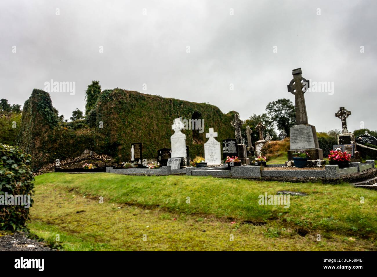 Cimetière de l'église du Sacré-cœur, Tarmonbarry, Co Roscommon, avec des croix celtiques et des ruines couvertes de lierre d'un ancien monastère dominicain. Banque D'Images