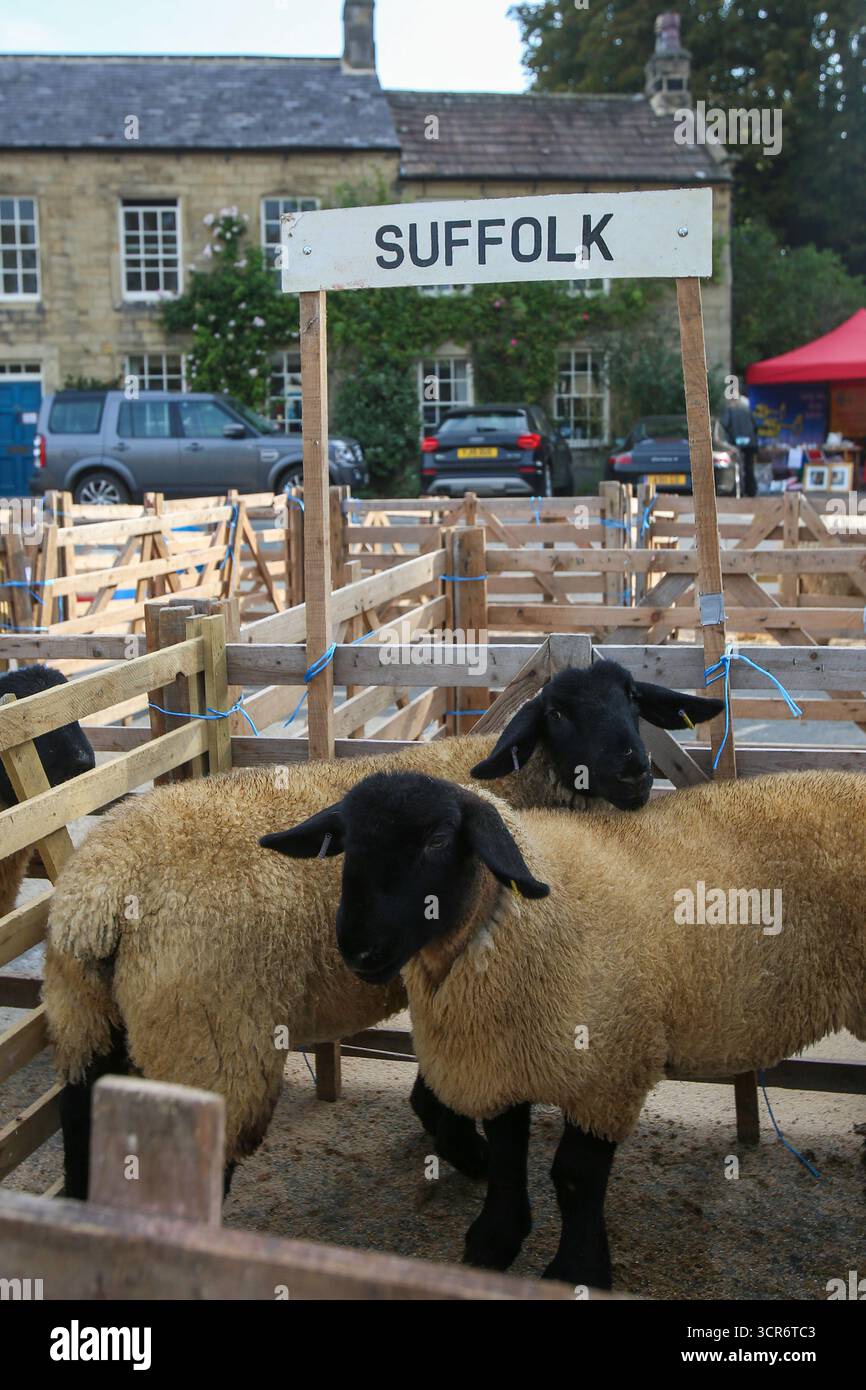 40th Masham Sheep Fair, North Yorkshire, Angleterre Banque D'Images