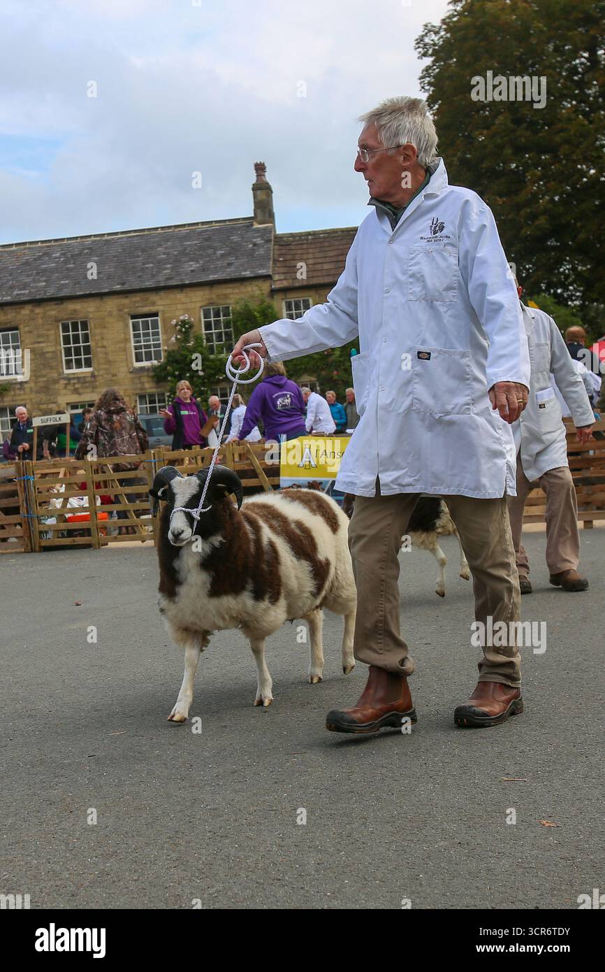 40th Masham Sheep Fair, North Yorkshire, Angleterre Banque D'Images