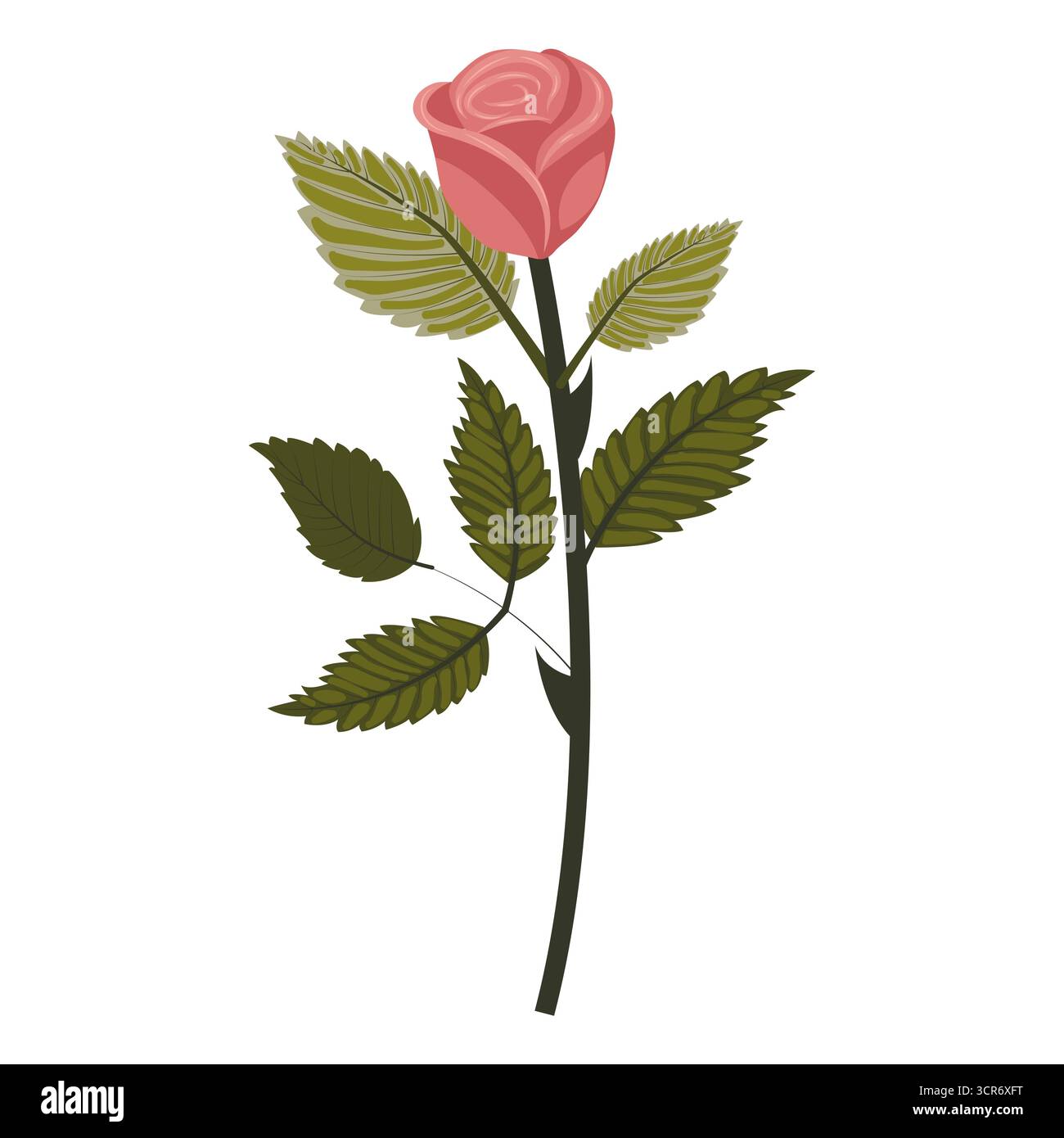 Rose poussiéreuse. Fleur mignonne sur une tige légèrement inclinée. Illustration vectorielle isolée sur fond blanc. Illustration de Vecteur Rose poussiéreuse. Fleur mignonne sur une tige légèrement inclinée. Illustration vectorielle isolée sur fond blanc. Illustration de Vecteur