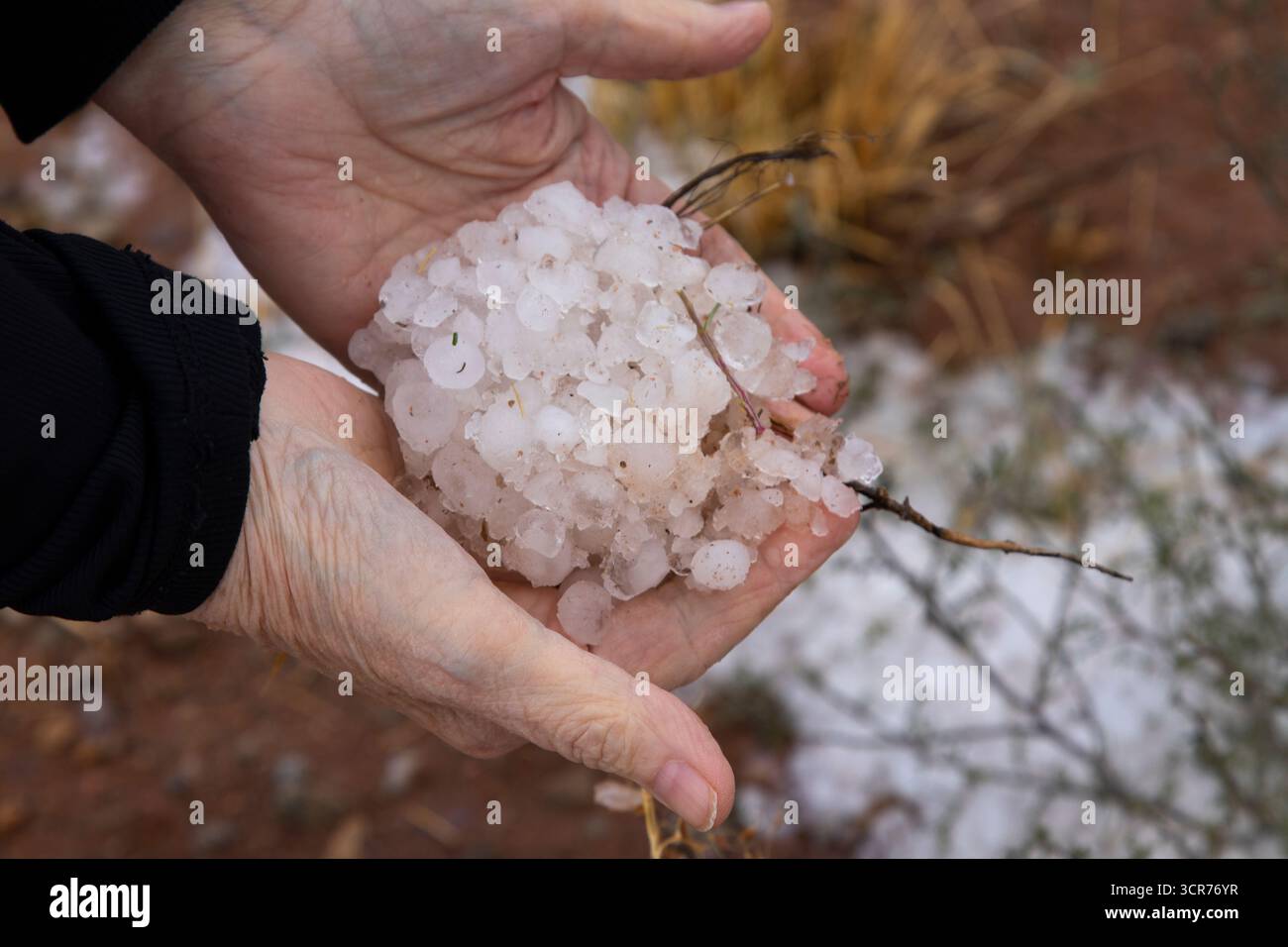 Mains tenant des pierres de grêle d'une tempête Banque D'Images