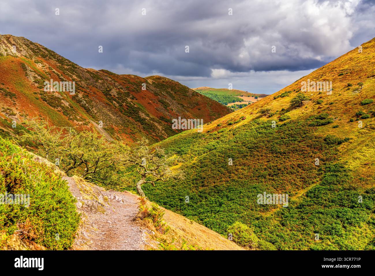 Sentier de montagne pittoresque à travers Rolling Hills avec une végétation verte et dorée vibrante sous un ciel nuageux spectaculaire dans la campagne anglaise Banque D'Images