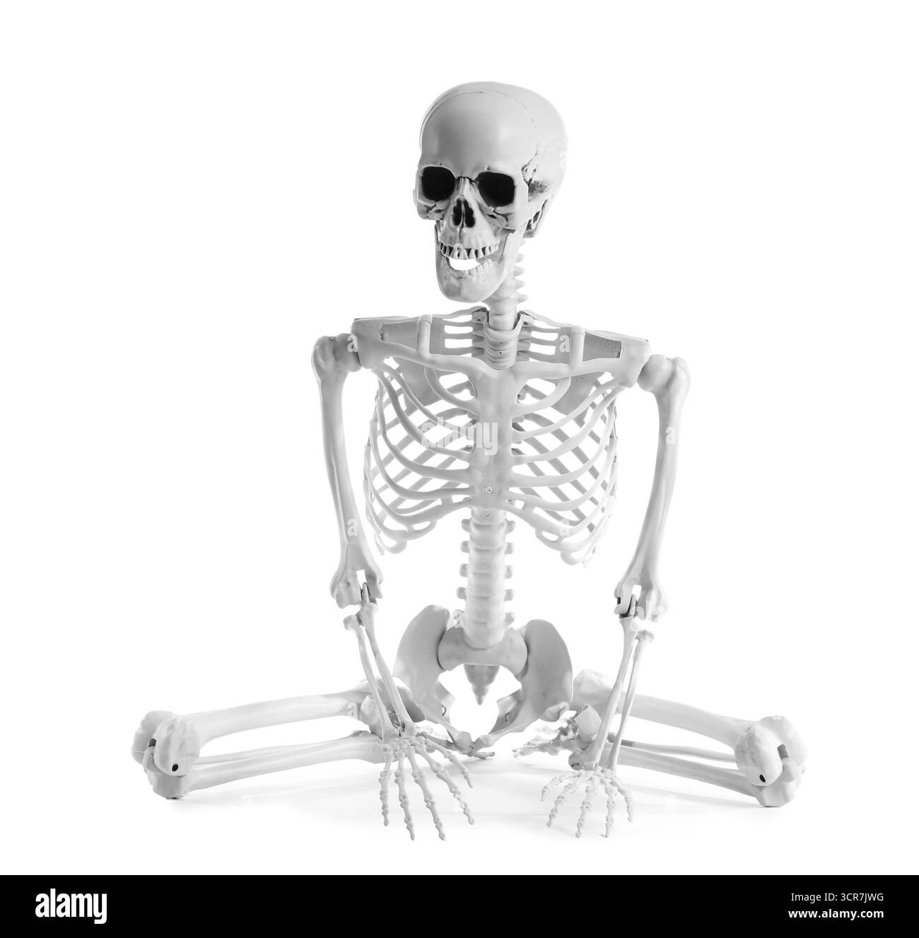 Squelette humain effrayant assis sur fond blanc Banque D'Images