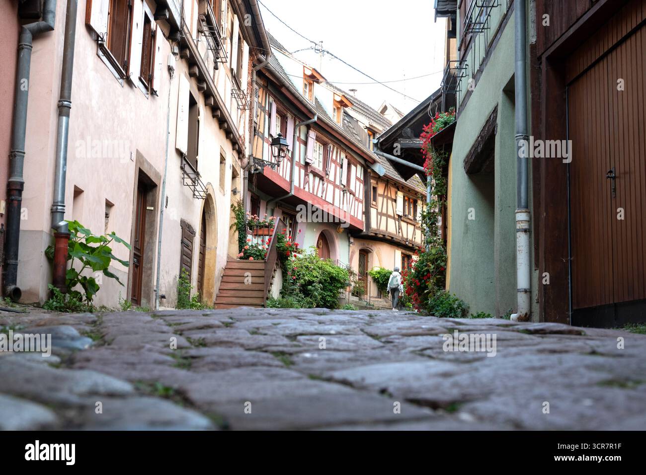 Eguisheim est un beau village médiéval dans la région viticole d'Alsace, au nord-est de la France. Banque D'Images