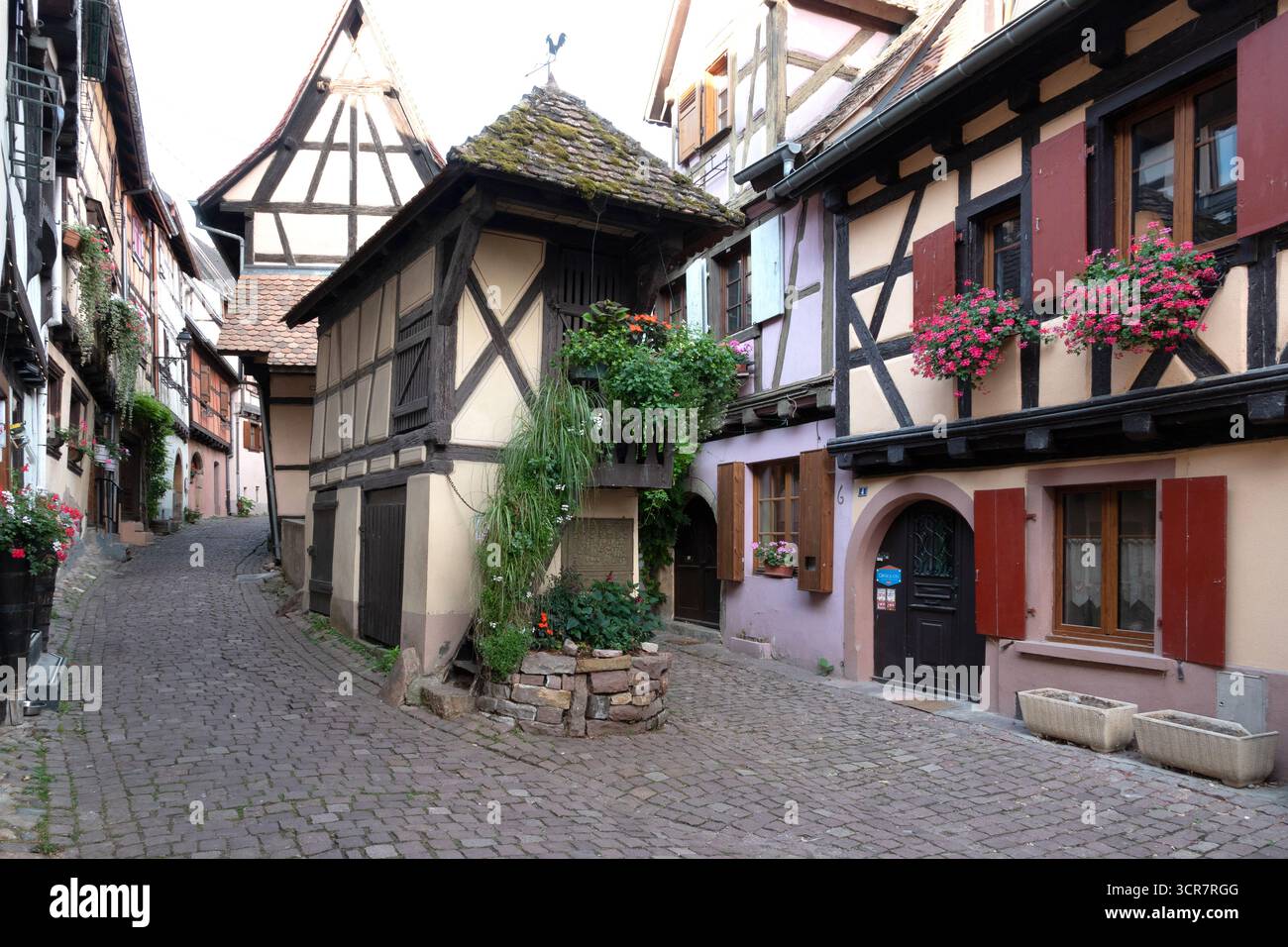 Eguisheim est un beau village médiéval dans la région viticole d'Alsace, au nord-est de la France. Banque D'Images