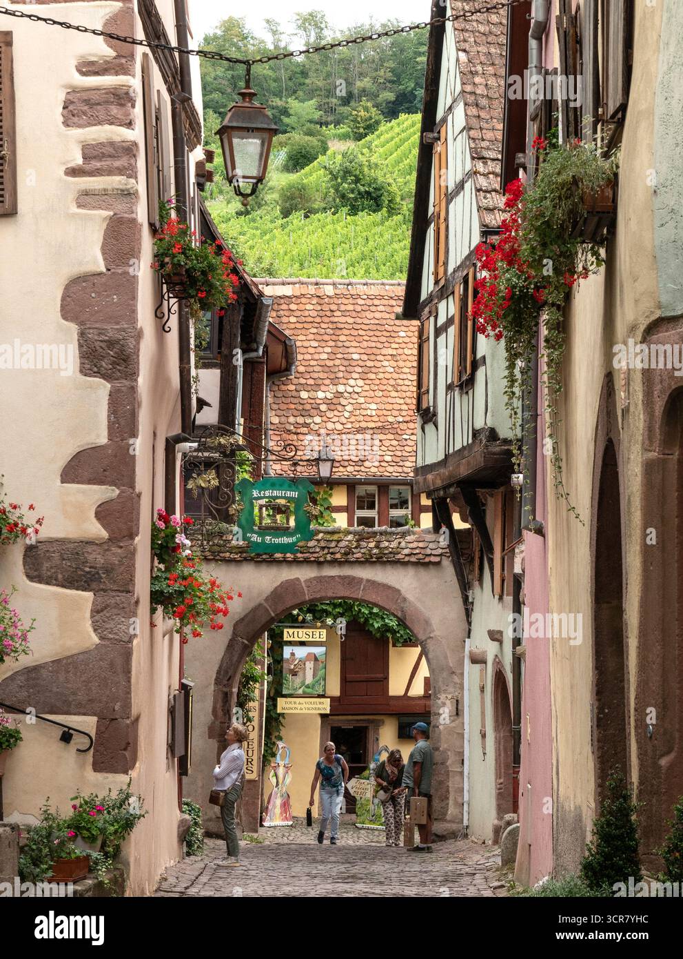 Riquewihr est une ville médiévale sur la route des vins d'Alsace dans l'est de la France. Ses rues pavées sont parsemées de boutiques à colombages prisées des touristes. Banque D'Images