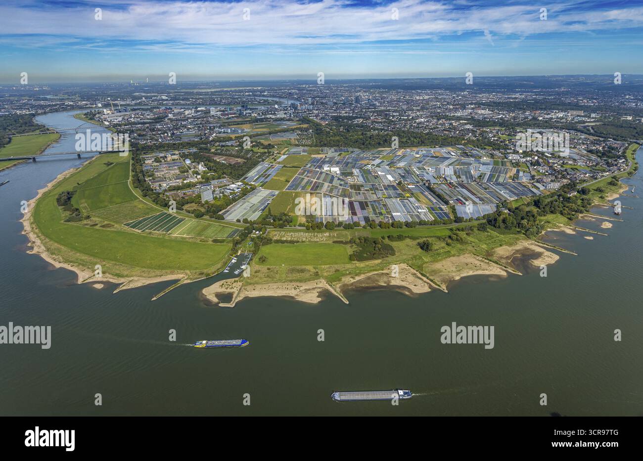 Vue aérienne, courbe du Rhin et district Volmerswerth, fermes horticoles et utilisation agricole dans le district Volmerswerth, formes et couleurs avec grap Banque D'Images
