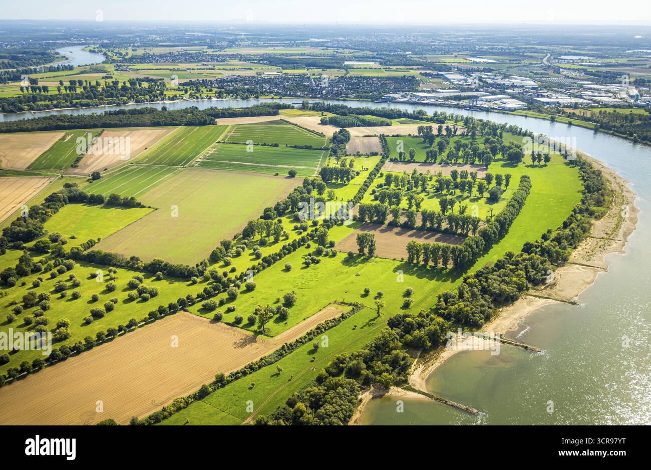Vue aérienne, réserve naturelle Himmelgeister Rheinbogen, prairies et champs et arbres verts, Himmelgeist, Duesseldorf, région de la Ruhr, Rhénanie du Nord-Westphalie Banque D'Images