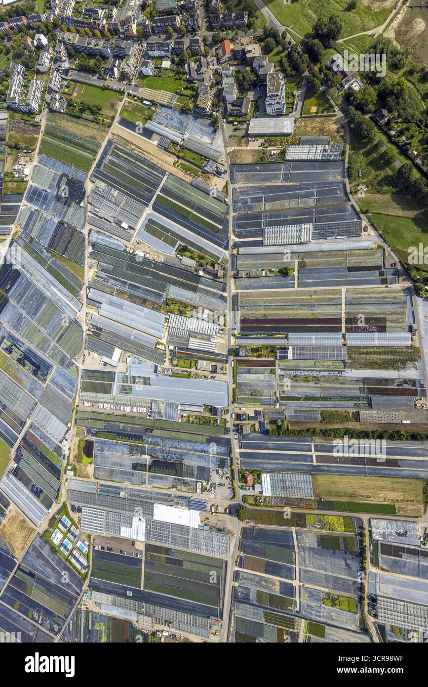 Vue aérienne, fermes horticoles et utilisation agricole dans le district de Volmerswerth, formes et couleurs avec représentation graphique, Volmerswerth, D. Banque D'Images