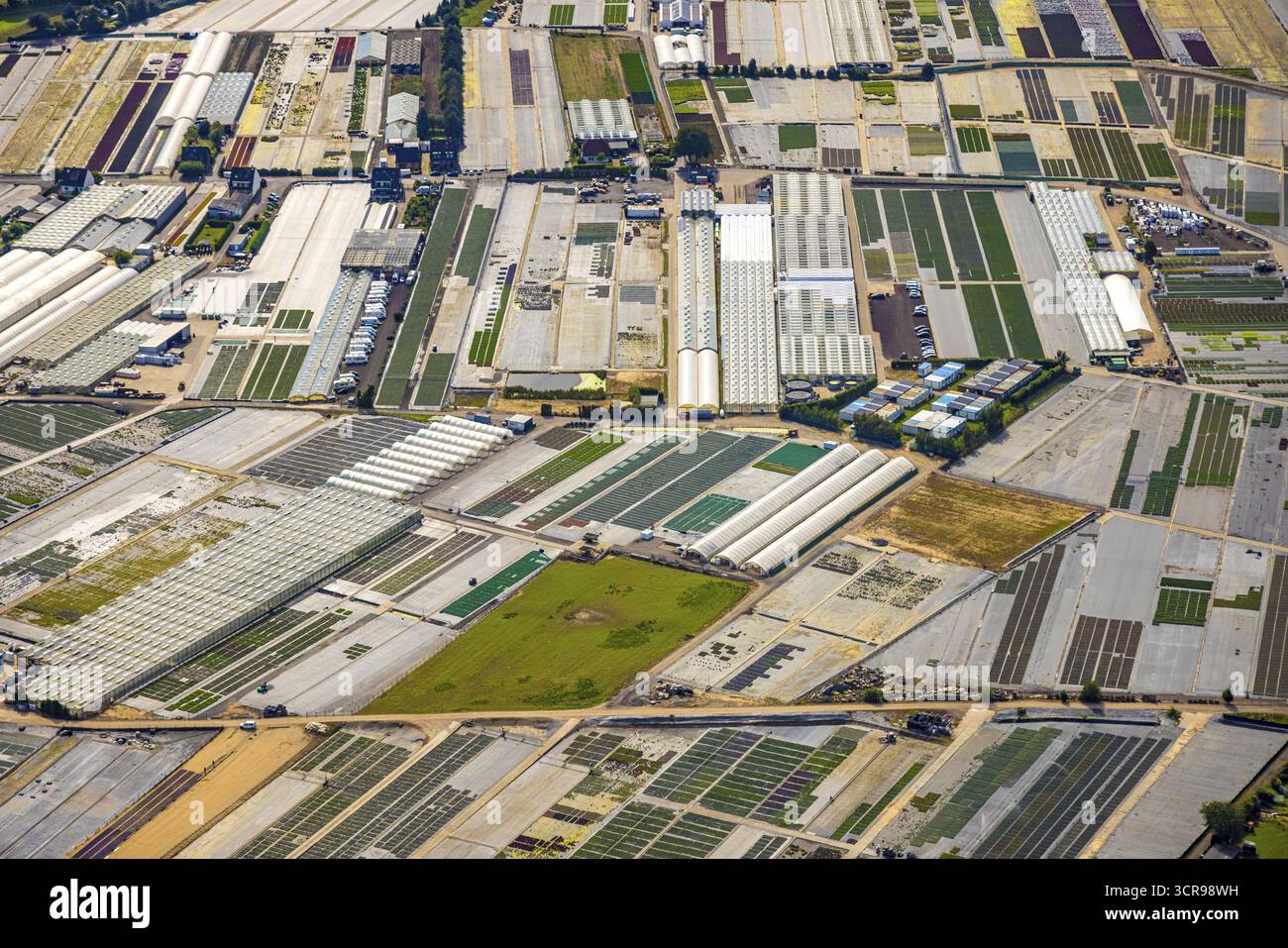Vue aérienne, fermes horticoles et utilisation agricole dans le district de Volmerswerth, formes et couleurs avec représentation graphique, Volmerswerth Banque D'Images