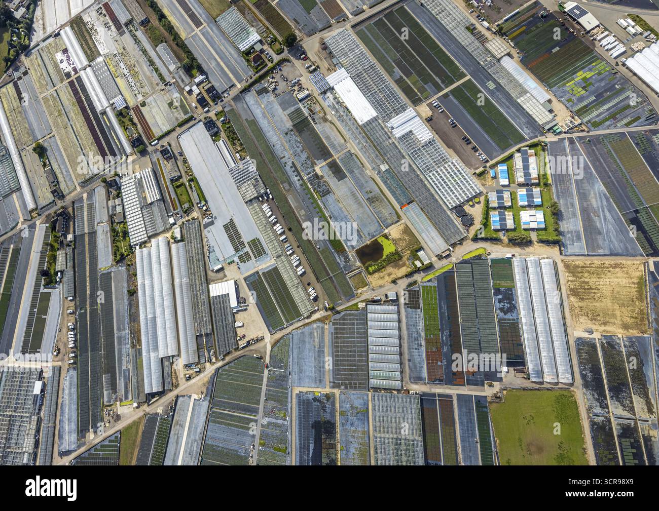 Vue aérienne, fermes horticoles et utilisation agricole dans le district de Volmerswerth, formes et couleurs avec représentation graphique, Volmerswerth Banque D'Images