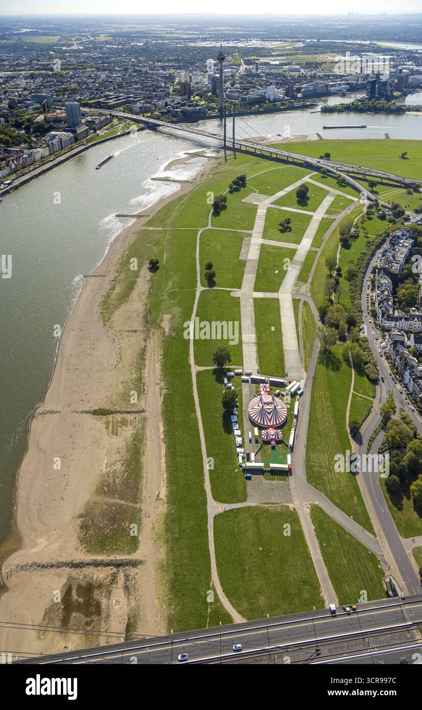 Vue aérienne, prairies du Rhin Oberkassel avec tente de cirque Waterland, derrière le pont du genou du Rhin sur le Rhin, Oberkassel, Duesseldorf, Ruhr sont Banque D'Images