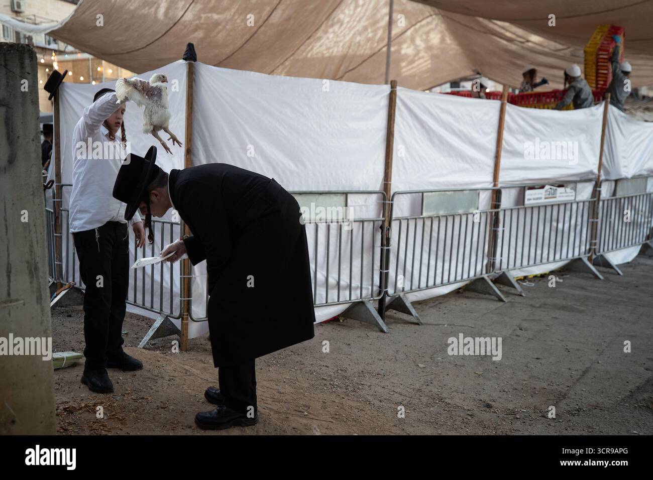 Jérusalem, MEA Shearim à Jérusalem. 29 septembre 2025. Les Juifs ultra-orthodoxes exécutent le rituel Kaparot, où les poulets blancs sont abattus comme un geste symbolique d'expiation avant Yom Kippour, la Journée juive des Expiations, dans le quartier de Mea Shearim à Jérusalem, le 29 septembre 2025. Crédit : Chen Junqing/Xinhua/Alamy Live News Banque D'Images