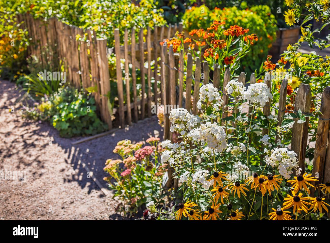 Clôture en bois avec fleurs en fleurs, jardin rural traditionnel, plantes ornementales Banque D'Images