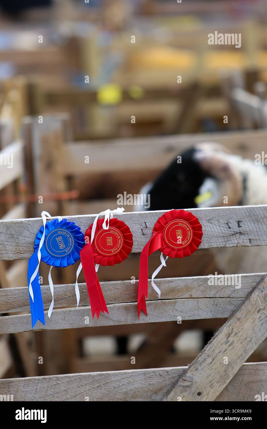 40th Masham Sheep Fair, North Yorkshire 2025 Banque D'Images