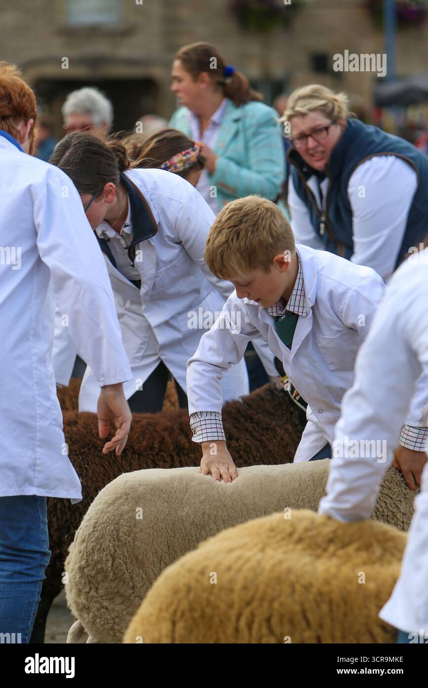 40th Masham Sheep Fair, North Yorkshire 2025 Banque D'Images