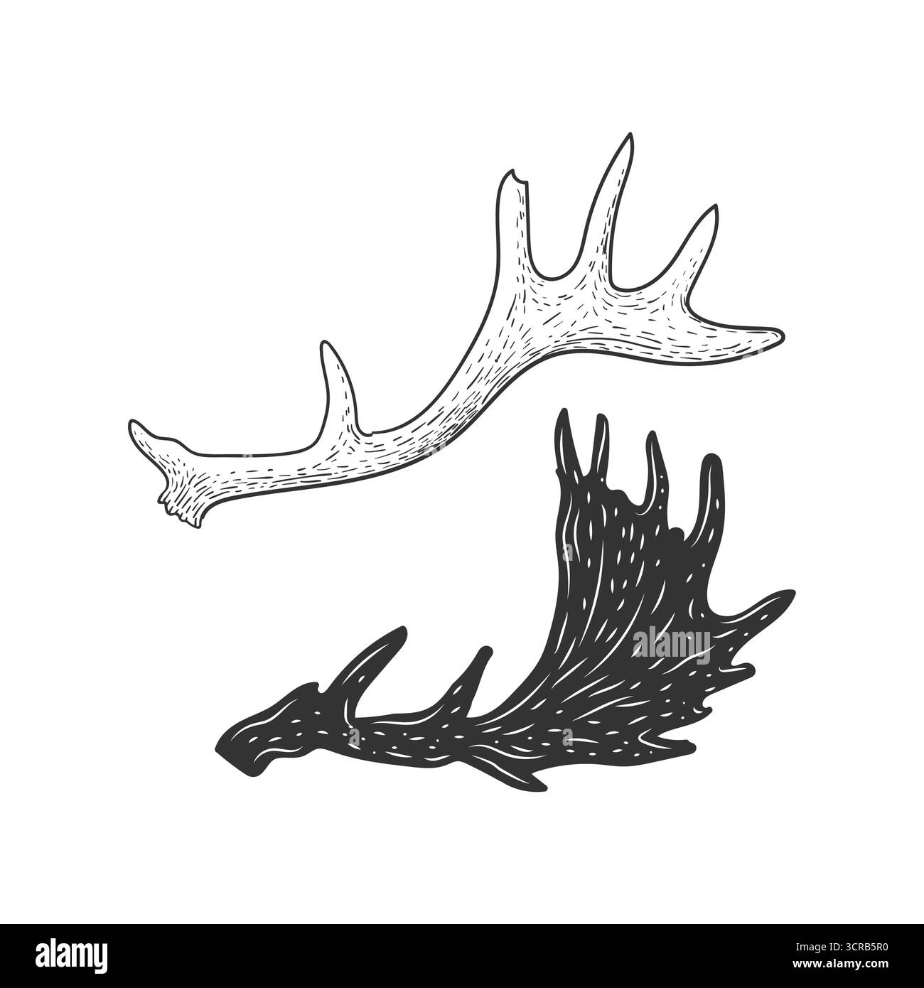 Dessin à la main dessin de style renne cerf Antler Elk Moose Horn illustration vecteur Illustration de Vecteur Dessin à la main dessin de style renne cerf Antler Elk Moose Horn illustration vecteur Illustration de Vecteur