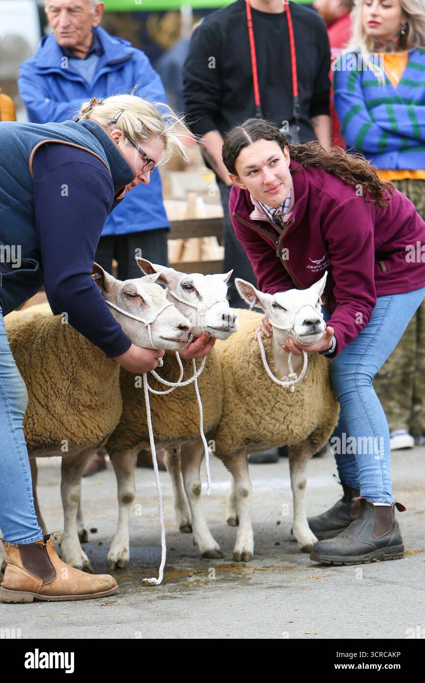 40th Masham Sheep Fair, Masham, North Yorkshire, Angleterre Banque D'Images