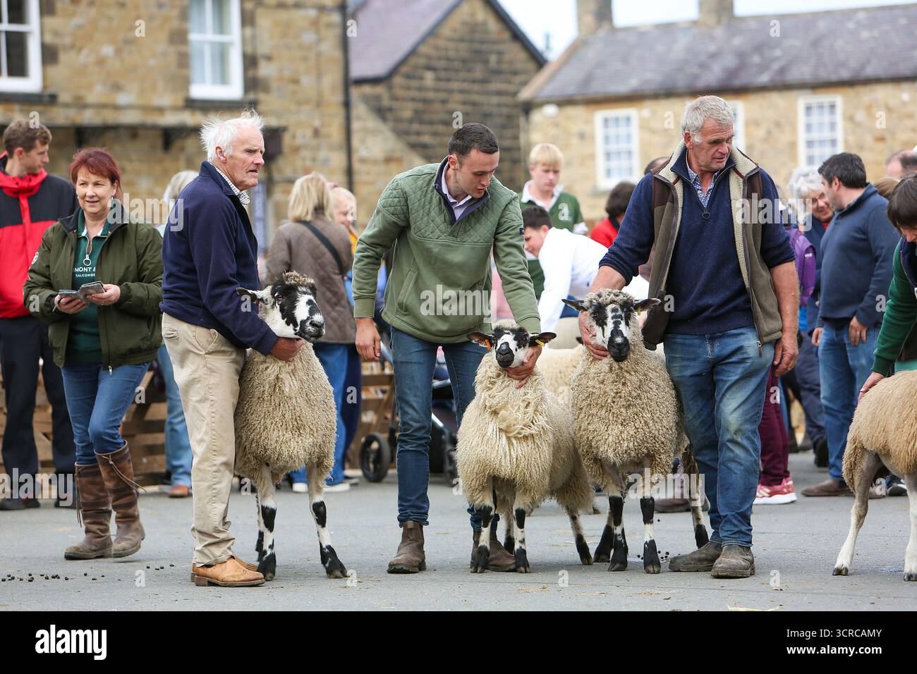 40th Masham Sheep Fair, Masham, North Yorkshire, Angleterre Banque D'Images
