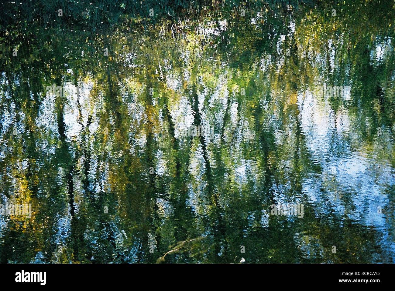 Photo couleur de réflexion forestière le long de la rive du Grand canal Bačka à Sombor. L'eau calme reflète les arbres et la lumière - serein et vif. Banque D'Images