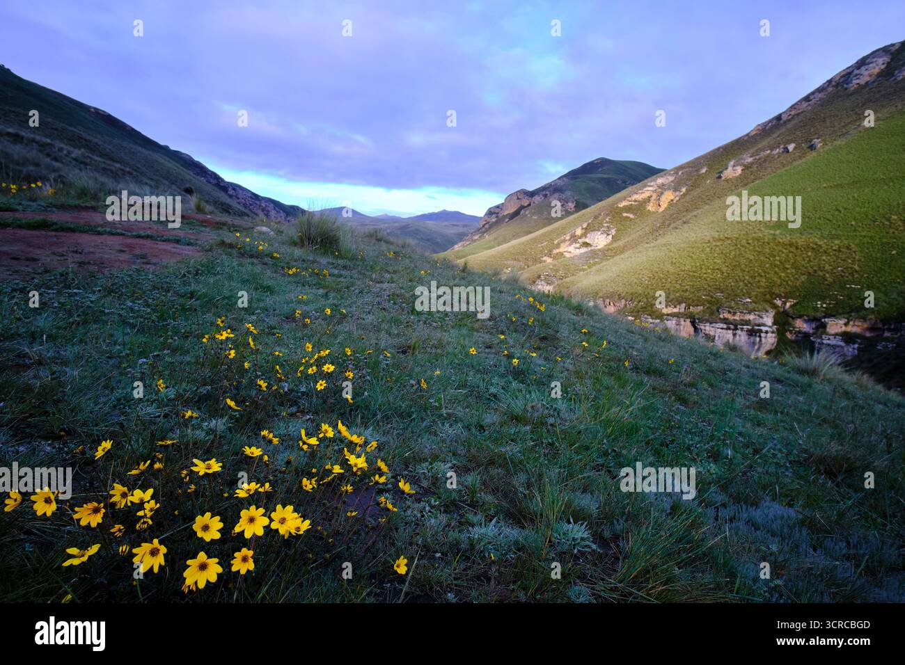 Beau paysage touristique dans Shucto Canyon, un endroit imposant et magnifique plein de nature du lever au coucher du soleil, il est paradisiaque. Banque D'Images