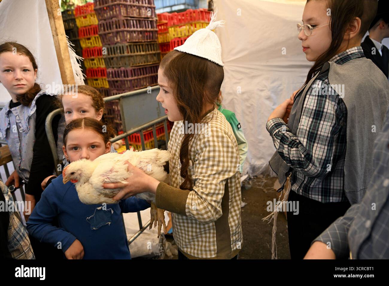 Jérusalem, Israël. 30 septembre 2025. Un garçon juif ultra-orthodoxe porte un poulet pour l’ancien rituel juif de Kapparot à Mea Shearim à Jérusalem, le mardi 30 septembre 2025. Le rituel Kapparot est exécuté avant Yom Kippour, le jour des Expiations, tandis que la personne prie en balançant un poulet sur sa tête, ce qui transfère symboliquement les péchés de l'année passée au poulet. Yom Kippour est le jour le plus Saint de l'année juive et commence au coucher du soleil le 1er octobre. Photo de Debbie Hill/ crédit : UPI/Alamy Live News Banque D'Images