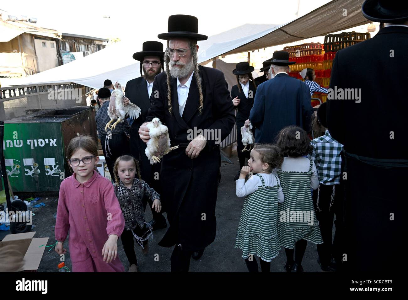 Jérusalem, Israël. 30 septembre 2025. Les Juifs ultra-orthodoxes portent des poulets pour l’ancien rituel juif de Kapparot à Mea Shearim à Jérusalem, le mardi 30 septembre 2025. Le rituel Kapparot est exécuté avant Yom Kippour, le jour des Expiations, tandis que la personne prie en balançant un poulet sur sa tête, ce qui transfère symboliquement les péchés de l'année passée au poulet. Yom Kippour est le jour le plus Saint de l'année juive et commence au coucher du soleil le 1er octobre. Photo de Debbie Hill/ crédit : UPI/Alamy Live News Banque D'Images