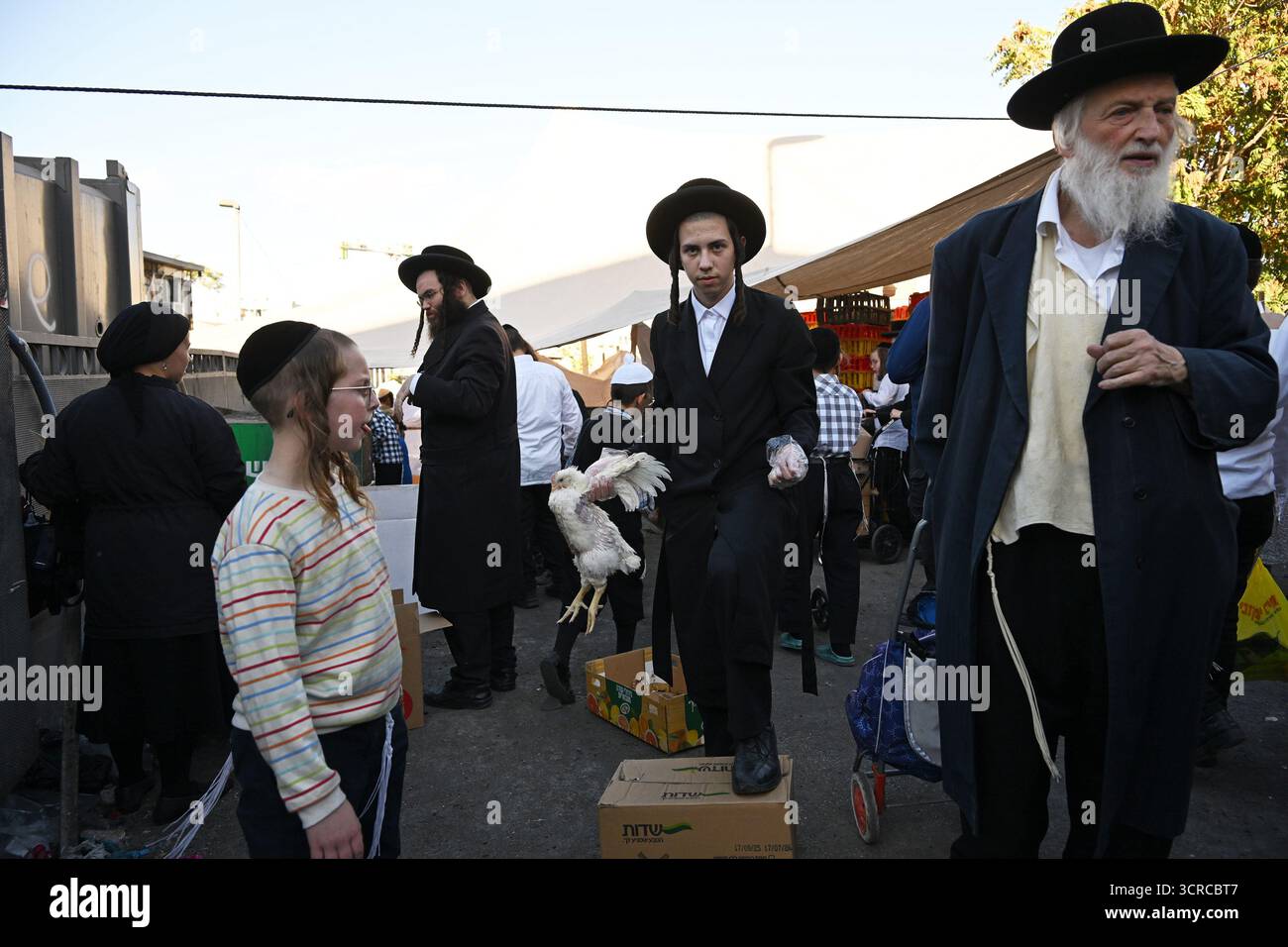 Jérusalem, Israël. 30 septembre 2025. Un homme juif ultra-orthodoxe tient un poulet tout en exécutant l'ancien rituel juif de Kapparot à Mea Shearim à Jérusalem, le mardi 30 septembre 2025. Le rituel Kapparot est exécuté avant Yom Kippour, le jour des Expiations, tandis que la personne prie en balançant un poulet sur sa tête, ce qui transfère symboliquement les péchés de l'année passée au poulet. Yom Kippour est le jour le plus Saint de l'année juive et commence au coucher du soleil le 1er octobre. Photo de Debbie Hill/ crédit : UPI/Alamy Live News Banque D'Images