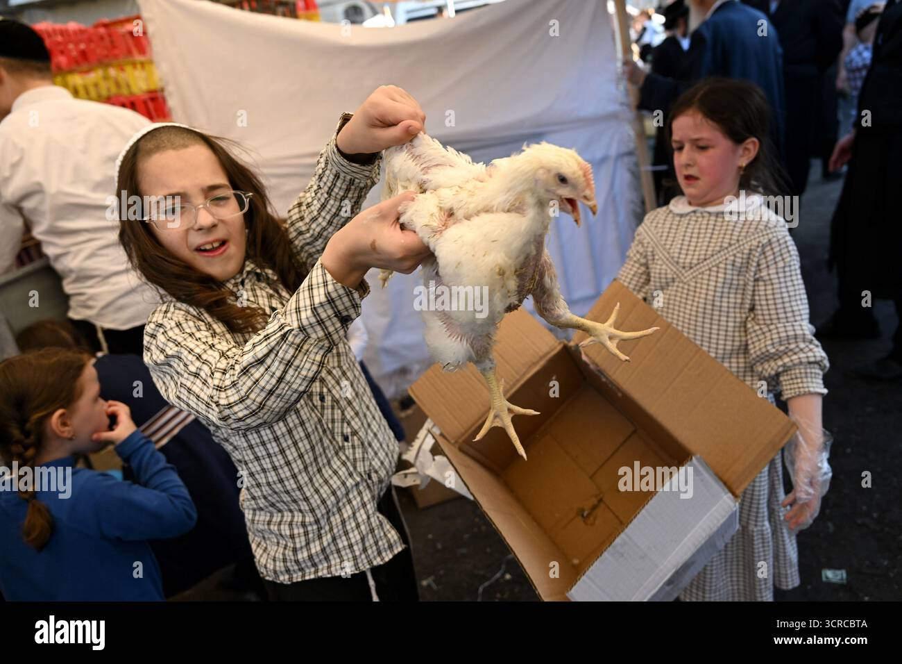 Jérusalem, Israël. 30 septembre 2025. Un garçon juif ultra-orthodoxe tient un poulet pour l’ancien rituel juif de Kapparot à Mea Shearim à Jérusalem, le mardi 30 septembre 2025. Le rituel Kapparot est exécuté avant Yom Kippour, le jour des Expiations, tandis que la personne prie en balançant un poulet sur sa tête, ce qui transfère symboliquement les péchés de l'année passée au poulet. Yom Kippour est le jour le plus Saint de l'année juive et commence au coucher du soleil le 1er octobre. Photo de Debbie Hill/ crédit : UPI/Alamy Live News Banque D'Images