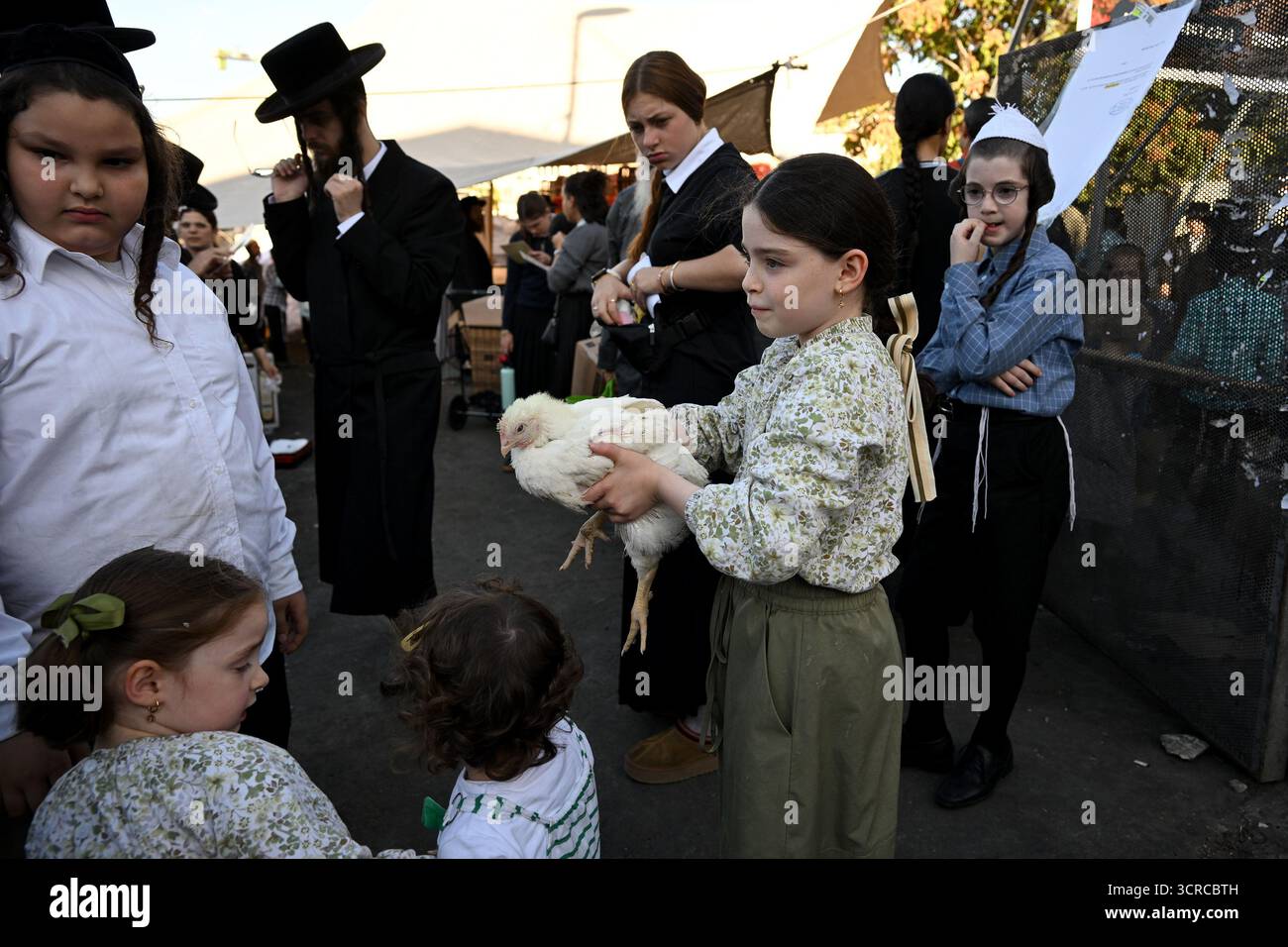 Jérusalem, Israël. 30 septembre 2025. Une jeune fille juive ultra-orthodoxe tient un poulet pour l’ancien rituel juif de Kapparot à Mea Shearim à Jérusalem, le mardi 30 septembre 2025. Le rituel Kapparot est exécuté avant Yom Kippour, le jour des Expiations, tandis que la personne prie en balançant un poulet sur sa tête, ce qui transfère symboliquement les péchés de l'année passée au poulet. Yom Kippour est le jour le plus Saint de l'année juive et commence au coucher du soleil le 1er octobre. Photo de Debbie Hill/ crédit : UPI/Alamy Live News Banque D'Images