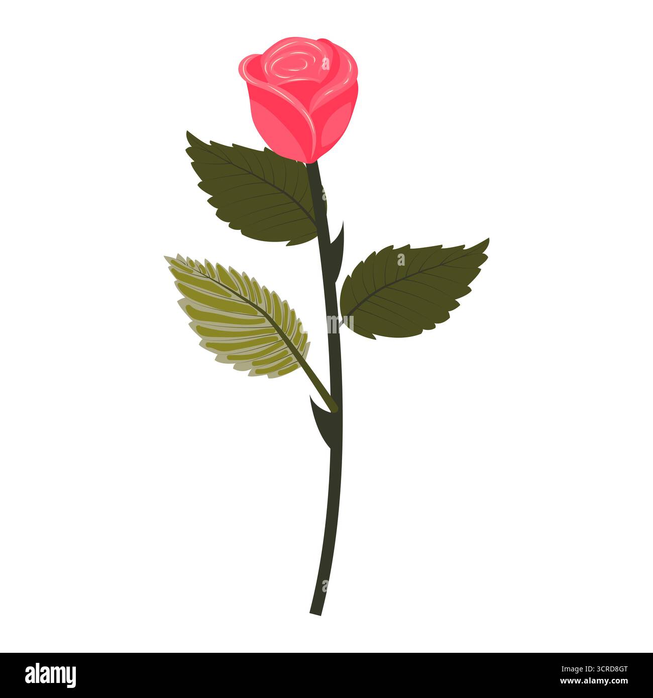 Rose rose vif. Fleur mignonne sur une tige légèrement inclinée. Illustration vectorielle isolée sur un fond blanc. Illustration de Vecteur Rose rose vif. Fleur mignonne sur une tige légèrement inclinée. Illustration vectorielle isolée sur un fond blanc. Illustration de Vecteur