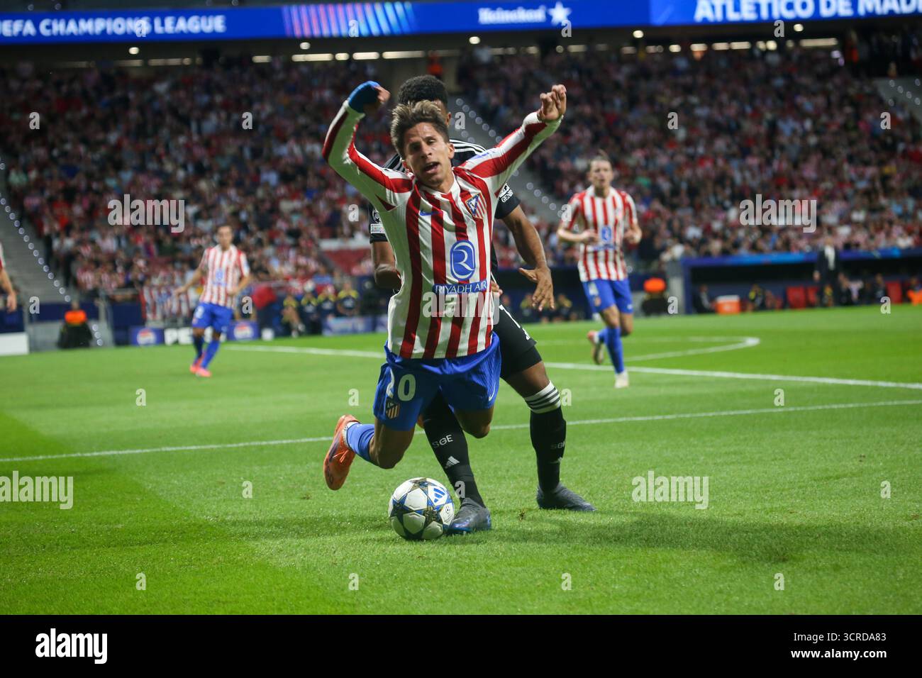 Madrid, Espagne, le 30 septembre 2025 : Giuliano Simeone (20 ans) d'Atleti est poussé par un adversaire lors du 2025-26 match de 2 de l'UEFA Champions League Round of 2 entre Atleti et Francfort le 30 septembre 2025, à l'Estadio Metropolitano de Madrid. Crédit : Alberto Brevers / Alamy Live News. Banque D'Images