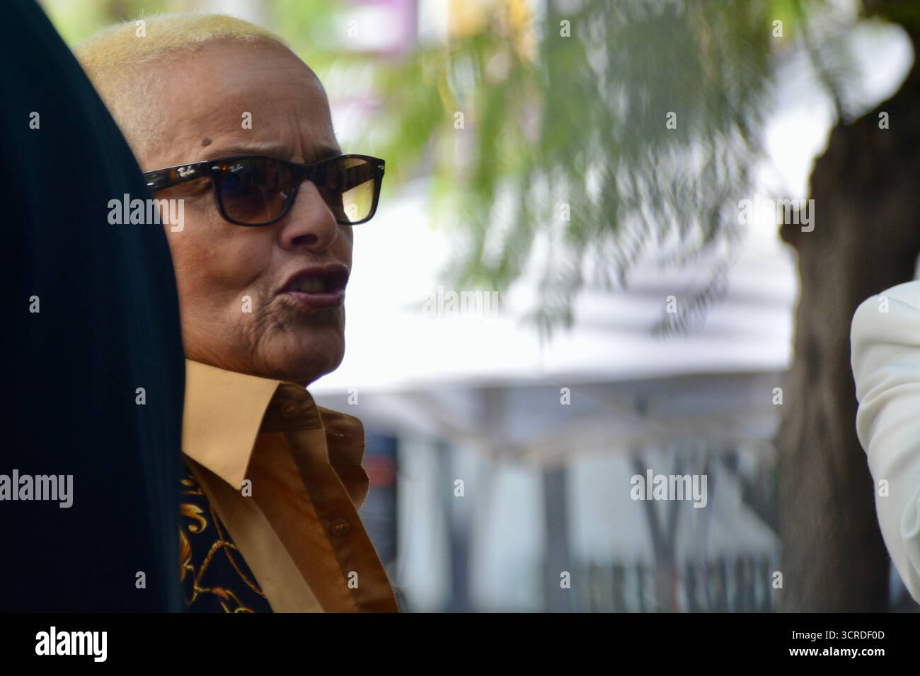 Los Angeles, Californie, États-Unis. 30 septembre 2025. L’actrice et chanteuse Shari Belafonte assiste à la cérémonie des stars du Hollywood Walk of Fame de Fran Drescher le 30 septembre 2025 à Los Angeles, en Californie. Crédit : Sharon Graphics/Alamy Live News Banque D'Images