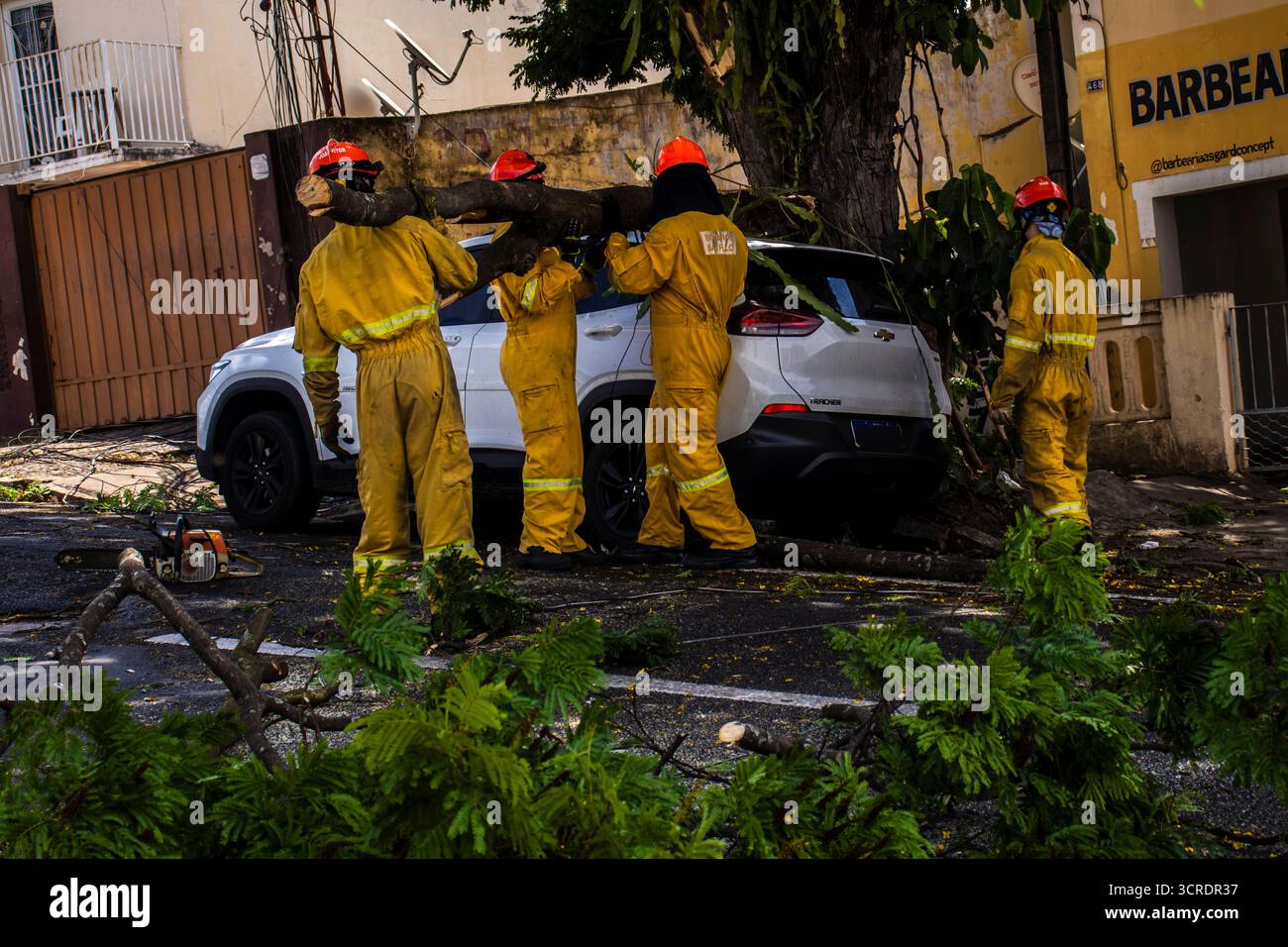 Marilia, SP, Brésil, 22 septembre 2025. Des pompiers en tenue de protection jaune dégagent un arbre tombé d'une rue dans le centre-ville de Marilia Banque D'Images
