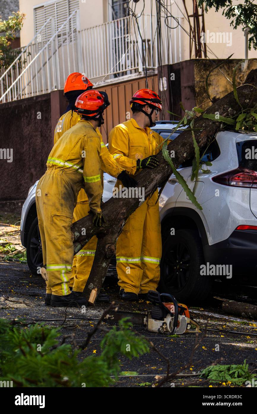 Marilia, SP, Brésil, 22 septembre 2025. Des pompiers en tenue de protection jaune dégagent un arbre tombé d'une rue dans le centre-ville de Marilia Banque D'Images