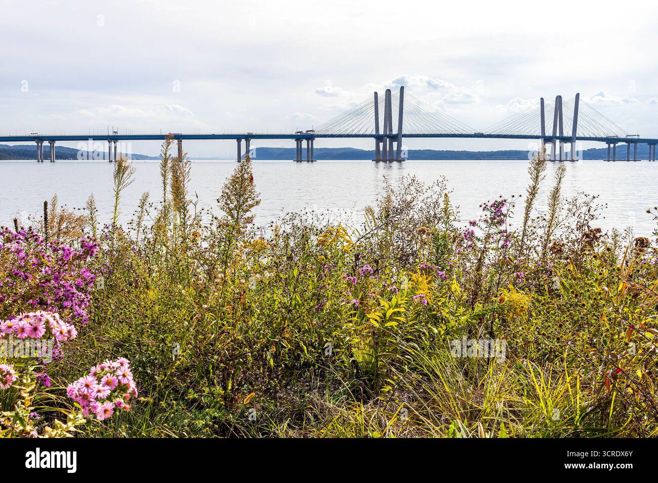 Le pont New Tappan Zee sur le fleuve Hudson entre Tarrytown et Nyack, New York, avec des fleurs. Également connu sous le nom de pont du gouverneur Mario M. Cuomo. Banque D'Images