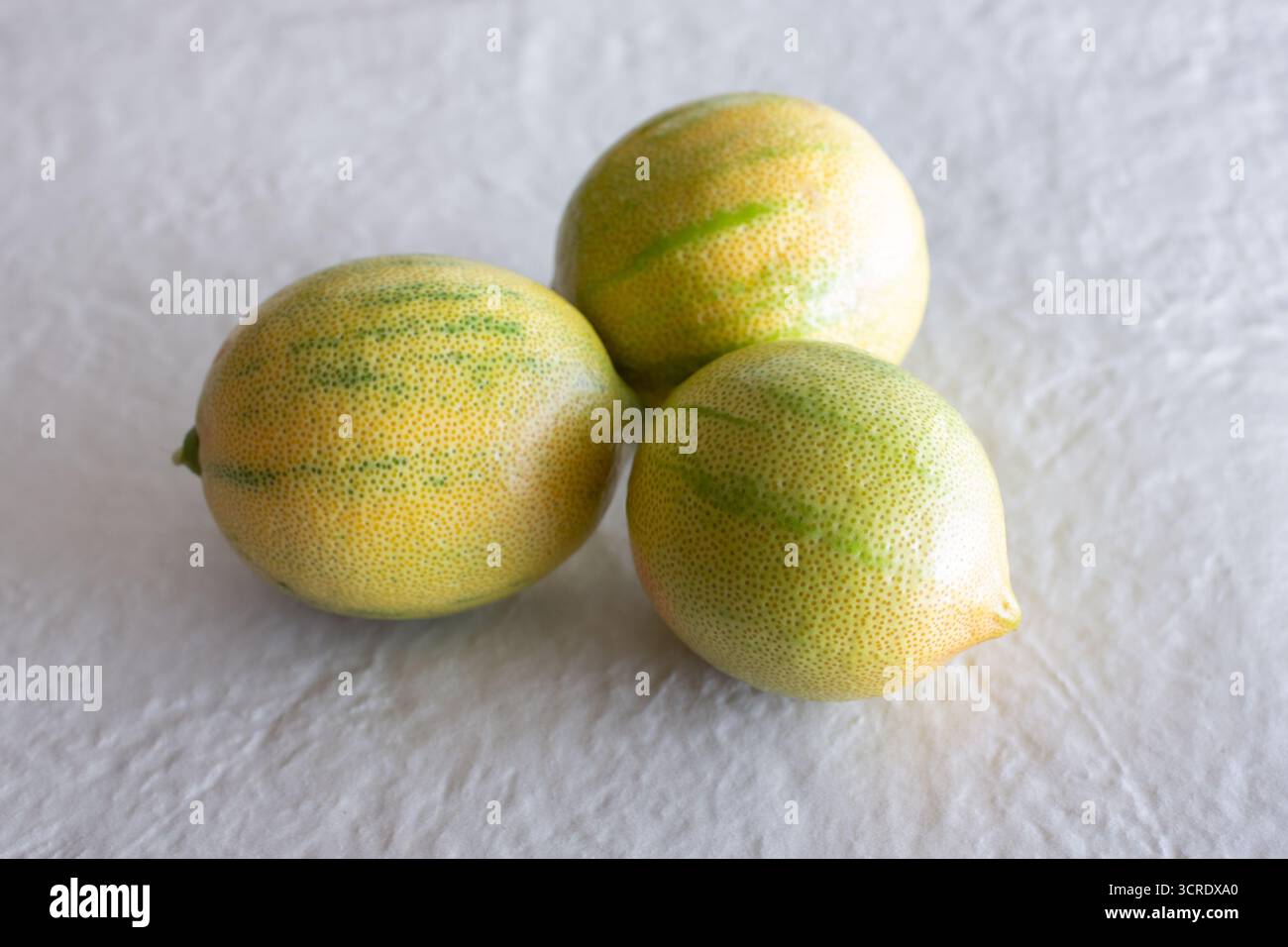 Une vue de trois citrons roses variés entiers. Banque D'Images