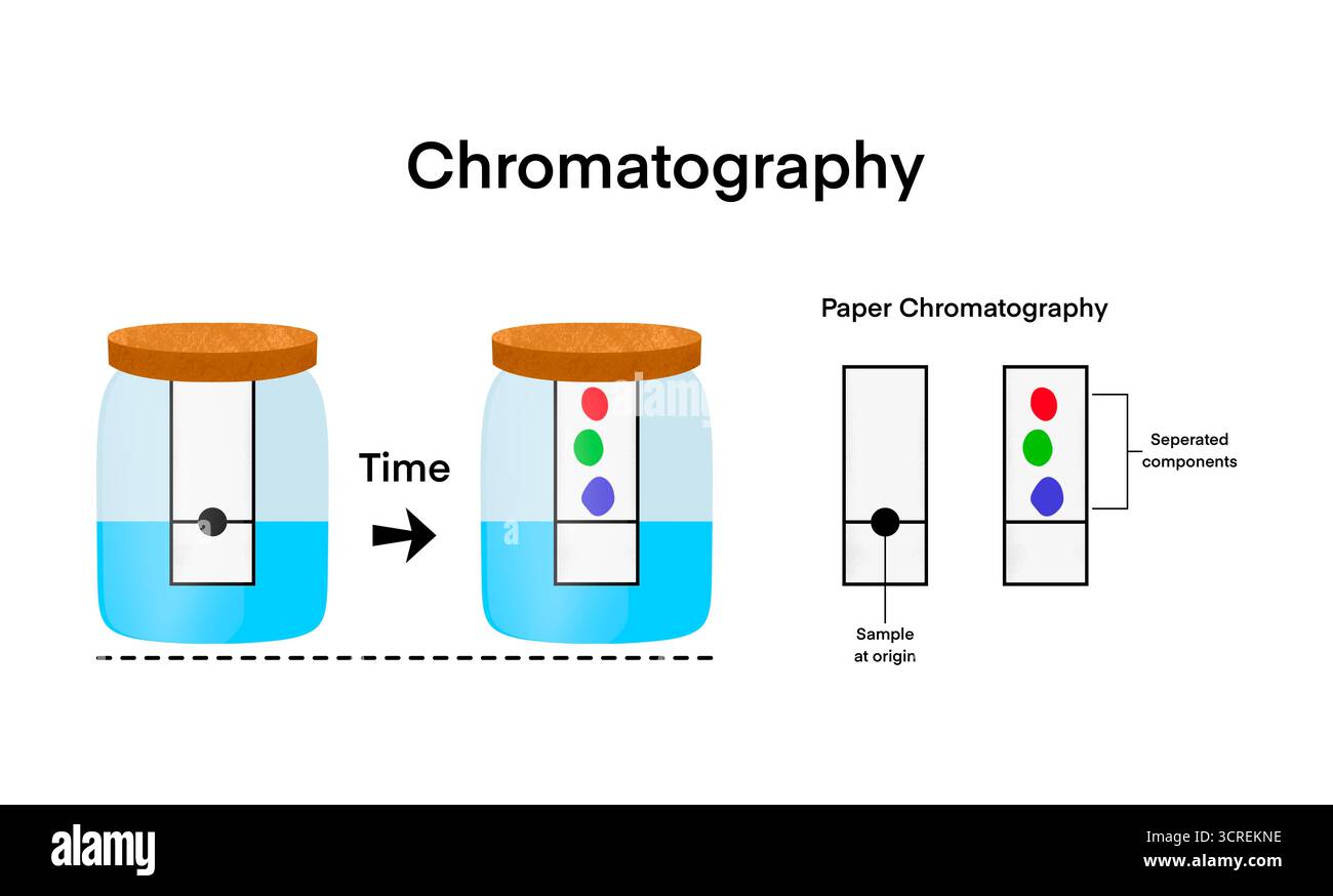 Chromatographie méthode analytique pour la séparation d'un mélange en ses composants individuels, la chromatographie est une technique utilisée pour séparer Banque D'Images