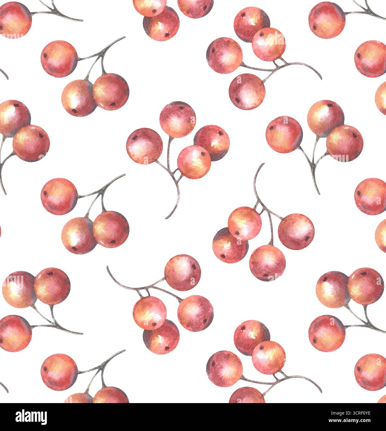 Motif sans couture avec baies rouges. Illustration aquarelle peinte à la main isolée sur blanc pour l'impression sur textile, papier peint, emballage, cartes Banque D'Images