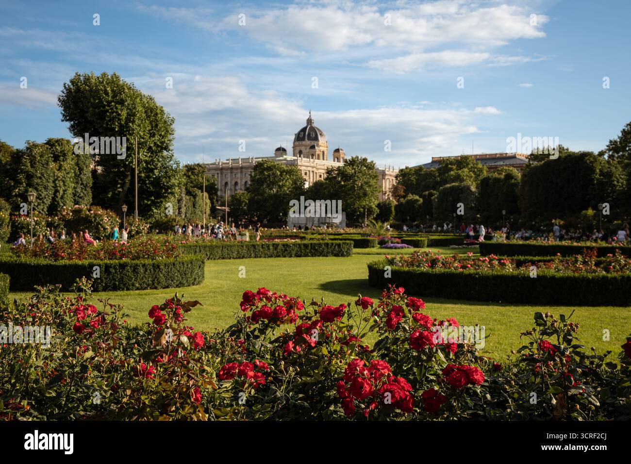 Roseraies à Volksgarten avec vue sur le Musée d'histoire naturelle un jour d'été - Vienne, Autriche Banque D'Images