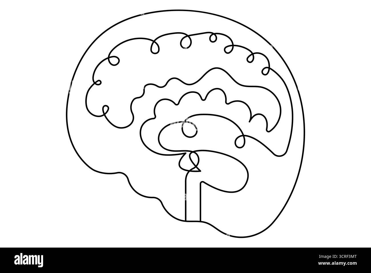 Cerveau humain une ligne dessinant un vecteur continu isolé sur le style minimaliste blanc. Illustration de Vecteur