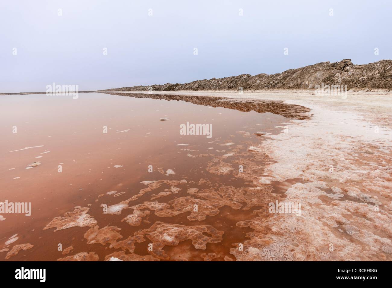 Salines roses avec de l'eau riche en minéraux dans Sandwich Harbour, parc national Namib-Naukluft, Namibie. Paysage désertique accidenté avec des couleurs et tex uniques Banque D'Images