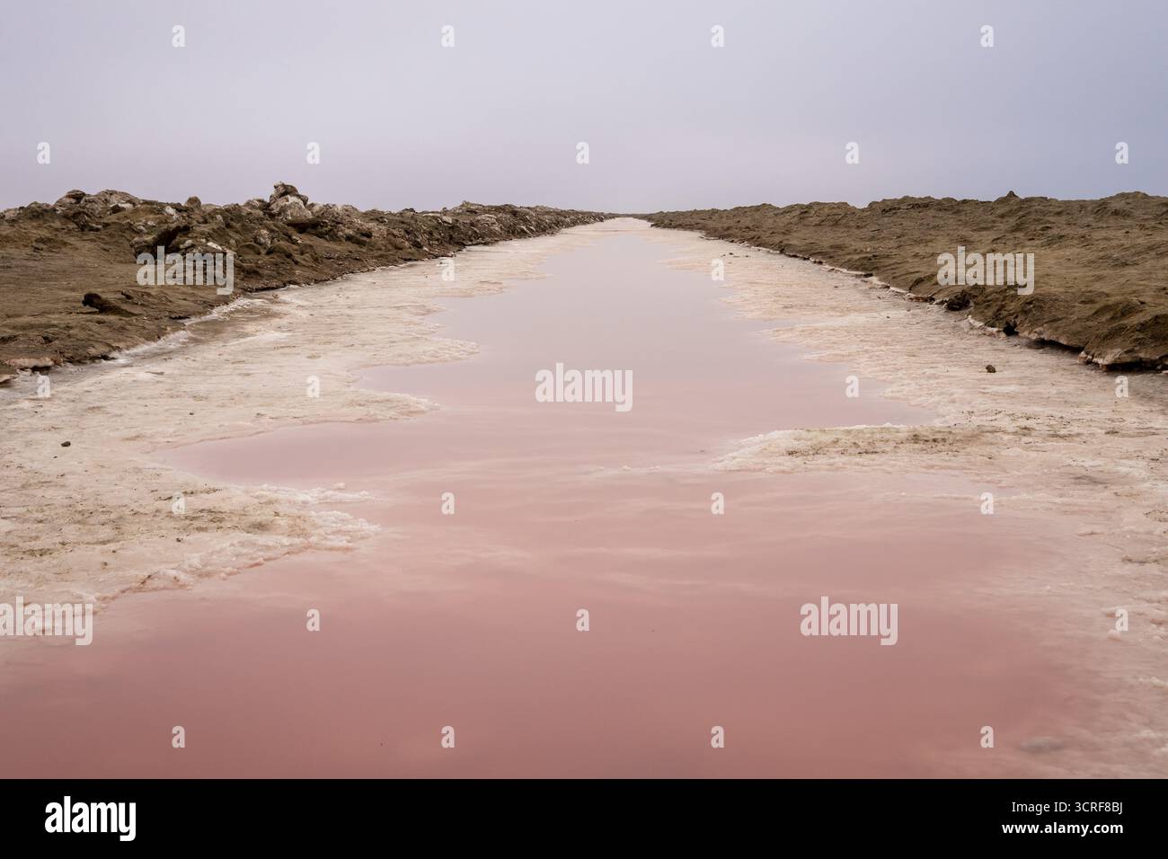 Salines roses avec de l'eau riche en minéraux dans Sandwich Harbour, parc national Namib-Naukluft, Namibie. Paysage désertique accidenté avec des couleurs et tex uniques Banque D'Images