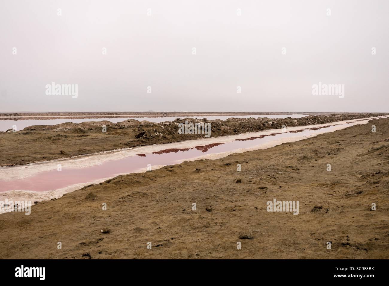 Salines roses avec de l'eau riche en minéraux dans Sandwich Harbour, parc national Namib-Naukluft, Namibie. Paysage désertique accidenté avec des couleurs et tex uniques Banque D'Images