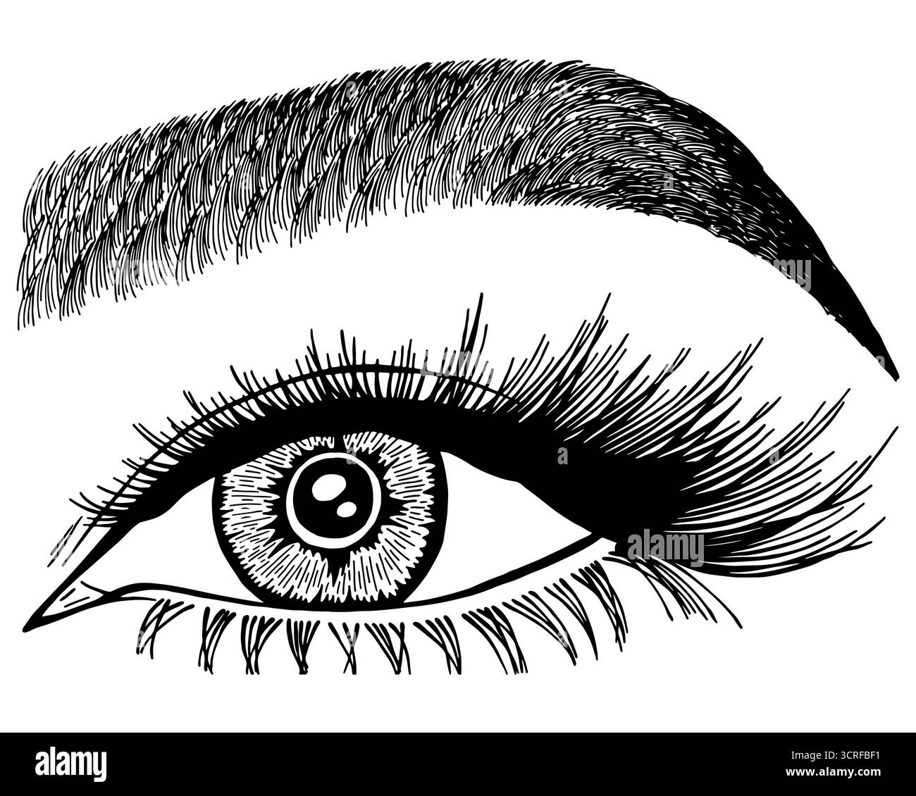 Illustration avec l'oeil de femme, les cils et les sourcils. Maquillage look. Motif tatouage. Logo pour bar à sourcils ou salon de cils. Illustration de Vecteur