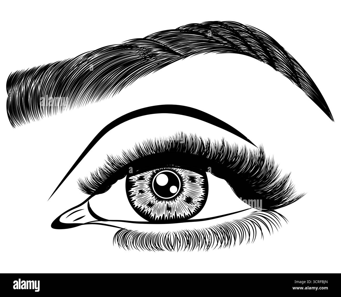 Illustration avec l'oeil de femme, les cils et les sourcils. Maquillage look. Motif tatouage. Logo pour bar à sourcils ou salon de cils. Illustration de Vecteur