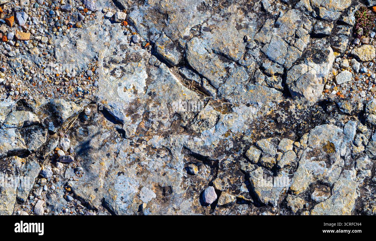 Une surface rocheuse avec quelques petits rochers dispersés autour. Les roches sont de différentes tailles et formes, et elles sont toutes de couleur grise. Texture sans couture Banque D'Images