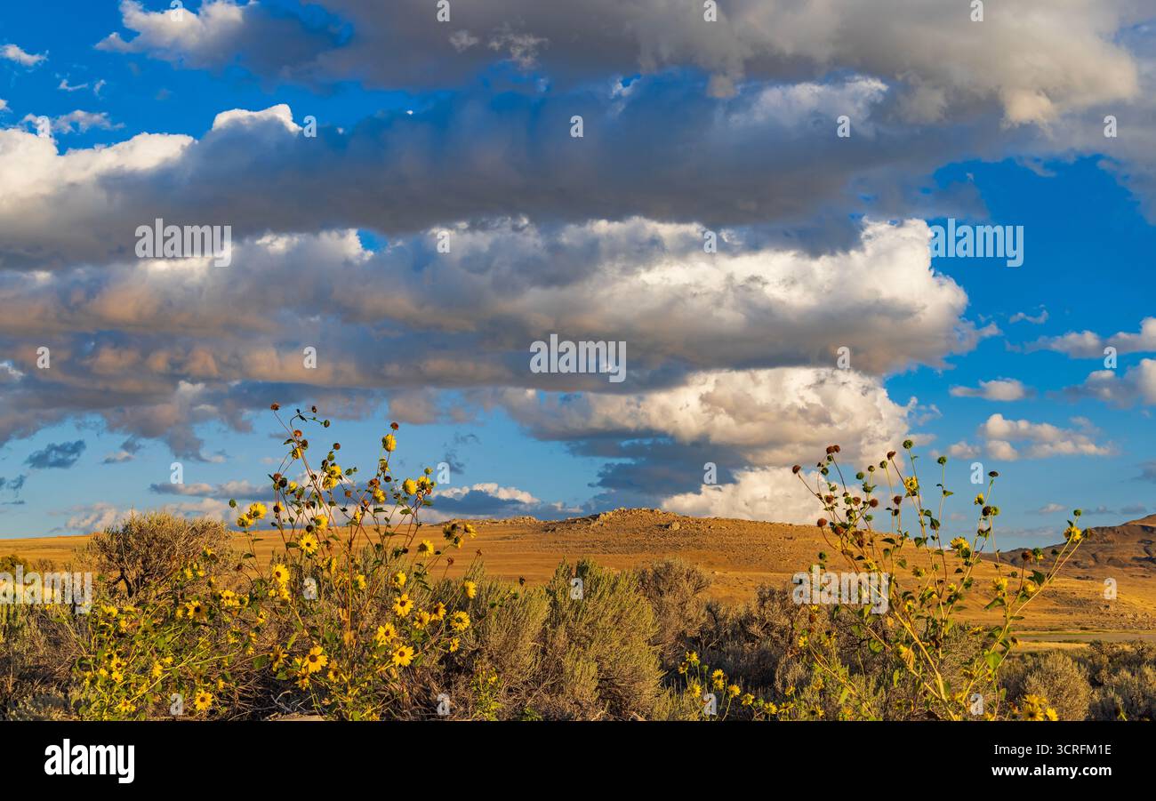 Des nuages spectaculaires surplombent la région de White Rock Bay du parc d'État d'Antelope Island, comté de Davis, Utah, États-Unis. Banque D'Images