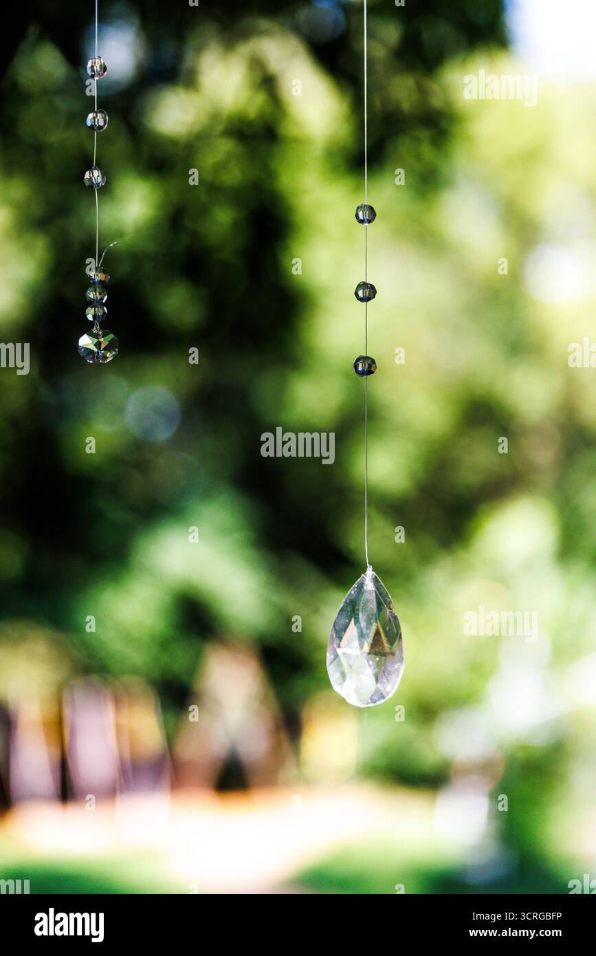 Cette superbe image présente deux élégants pendentifs en cristal suspendus gracieusement dans un environnement verdoyant et luxuriant, créant une ambiance magique qui captivera Banque D'Images