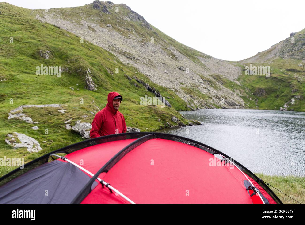 camping avec chien et tente rouge en haute montagne Banque D'Images
